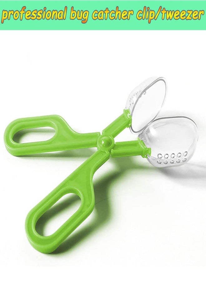 RORANIC Feeding Tongs,Bug Tweezers for Kids Adults, Reptile Feeding Tweezers Long Handle Feeder Tools for Fish Aquariums Reptiles Snakes Lizard Gecko Spider and Bird (Green) - Image 2